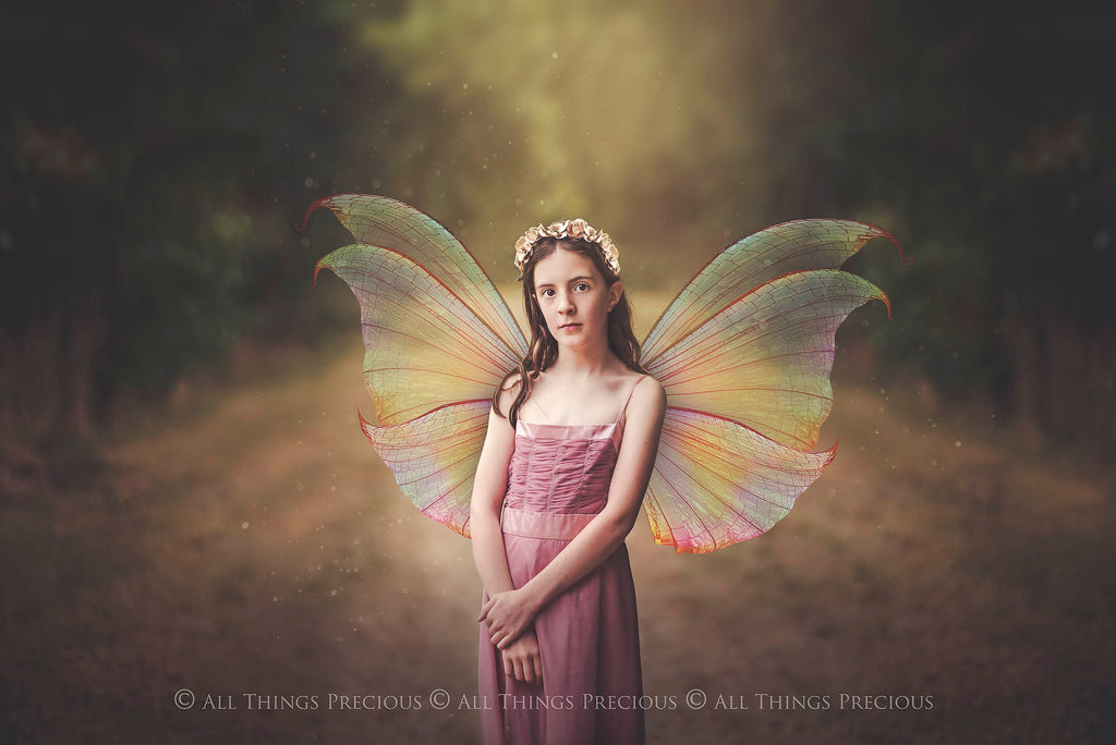 Digital Fairy Wings Overlays clipart. Png transparent see through files for photoshop. Butterfly Angel, Color, Print Photography editing. High resolution, 300dpi. Printable, Photography Graphic design assets, add on stock resources. Magical Scrapbooking design. Faery Photographer edit. Colorful Big Bundle. ATP Textures