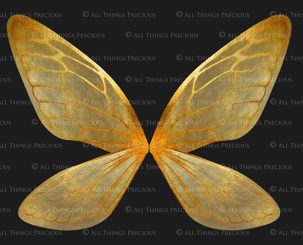 Digital Faery Wing Overlays! Fairy wings, Png overlays for photoshop. Photography editing. High resolution, 300dpi fairy wings. Overlays for photography. Digital stock and resources. Graphic design. Fairy Photos. Colourful Fairy wings. Faerie Wings.