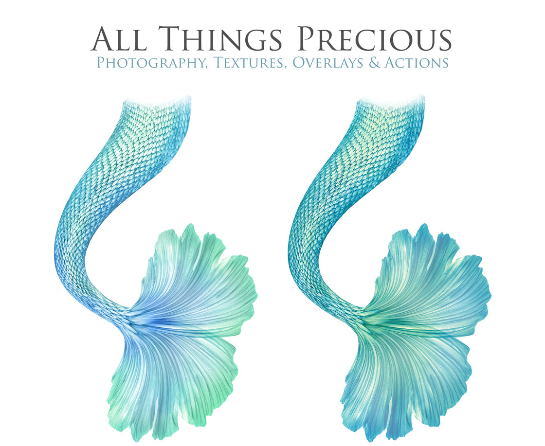 Png transparent Mermaid Tail fin overlays in colourful tints. By ATP Textures Ocean undersea digital backgrounds.