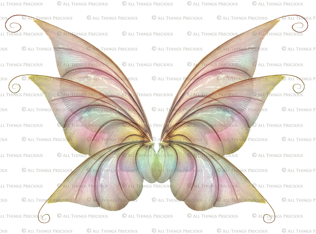 Digital Faery Wing Overlays. Png overlays for photoshop. Photography editing. High resolution, 300dpi fairy wings. Overlays for photography. Digital stock and resources. Graphic design. Fairy Photos. Colourful Fairy wings. Faerie Wings. ATP Textures. Overlays. Actions, Textures, Photo Resources, Photoshop. 