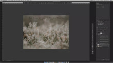 Load and play video in Gallery viewer, 10 Fine Art TEXTURES - Berries &amp; Cream Set 8
