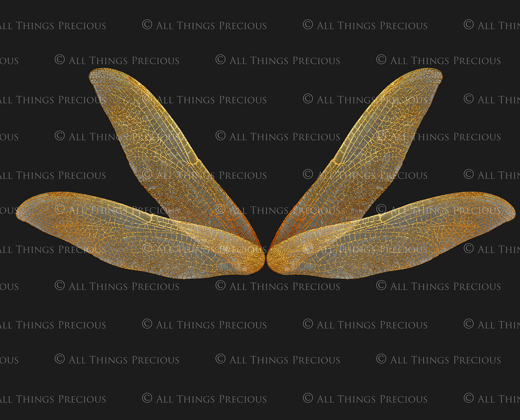 Digital Faery Wing Overlays! Fairy wings, Png overlays for photoshop. Photography editing. High resolution, 300dpi fairy wings. Overlays for photography. Digital stock and resources. Graphic design. Fairy Photos. Colourful Fairy wings. Faerie Wings.