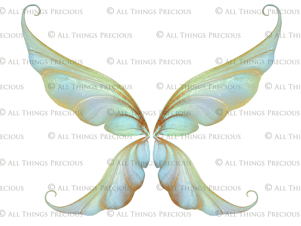 Digital Overlays for Photographers, Graphic design, scrapbooking and creatives.. Fairy Wings. High resolution, fine art digital assets for creating fantasy art.  Png overlay with transparent background. Magical Edit. Png Photo editing art assets.