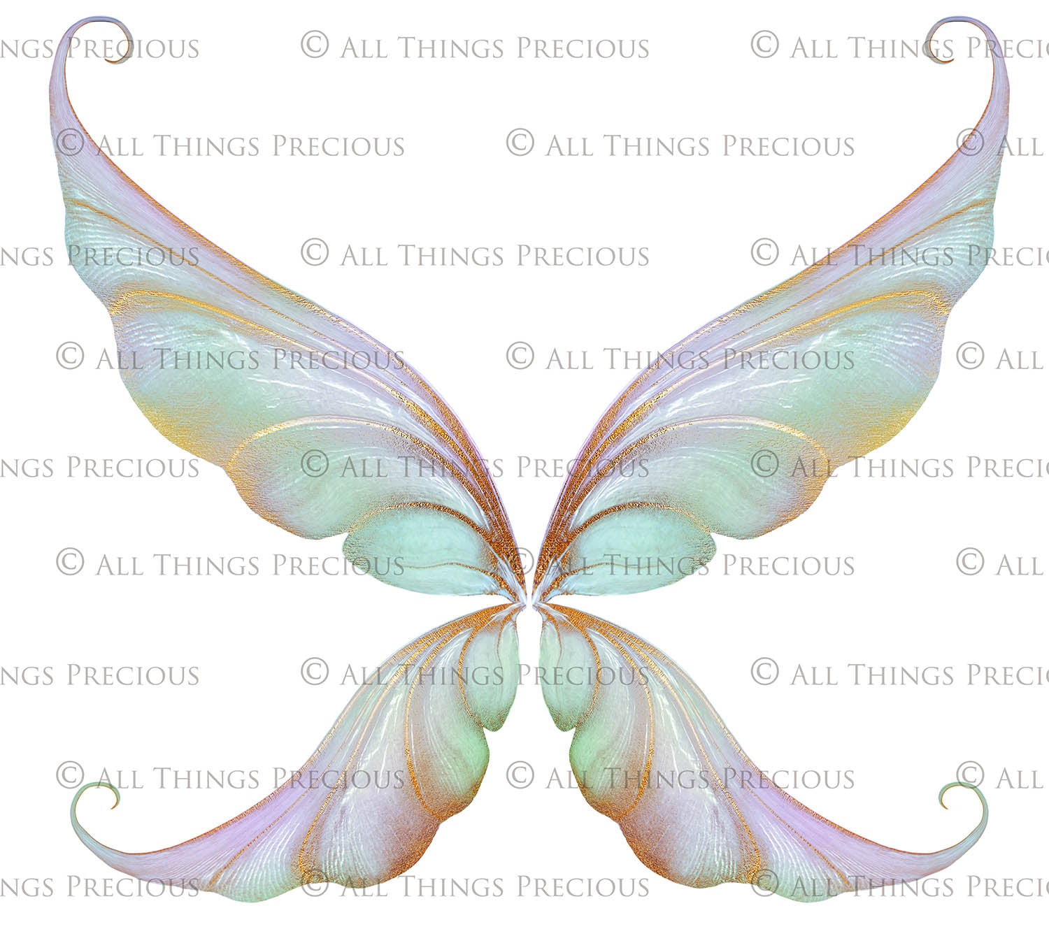 Digital Faery Wing Overlays! Fairy wings, Png overlays for photoshop. Photography editing. High resolution, 300dpi fairy wings. Overlays for photography. Digital stock and resources. Graphic design. Fairy Photos. Colourful Fairy wings. Faerie Wings.
