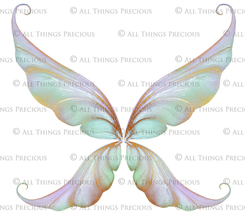 Digital Faery Wing Overlays! Fairy wings, Png overlays for photoshop. Photography editing. High resolution, 300dpi fairy wings. Overlays for photography. Digital stock and resources. Graphic design. Fairy Photos. Colourful Fairy wings. Faerie Wings.