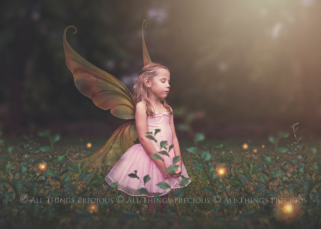 Digital Fairy Wings Overlays clipart. Png transparent see through files for photoshop. Butterfly Angel, Color, Print Photography editing. High resolution, 300dpi. Printable, Photography Graphic design assets, add on stock resources. Magical Scrapbooking design. Faery Photographer edit. Colorful Big Bundle. ATP Textures