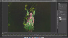 Load and play video in Gallery viewer, PNG Animated FAERY WINGS - Set 3
