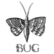 Load image into Gallery viewer, MEDIEVAL ALPHABET, Insects &amp; Florals - Clipart
