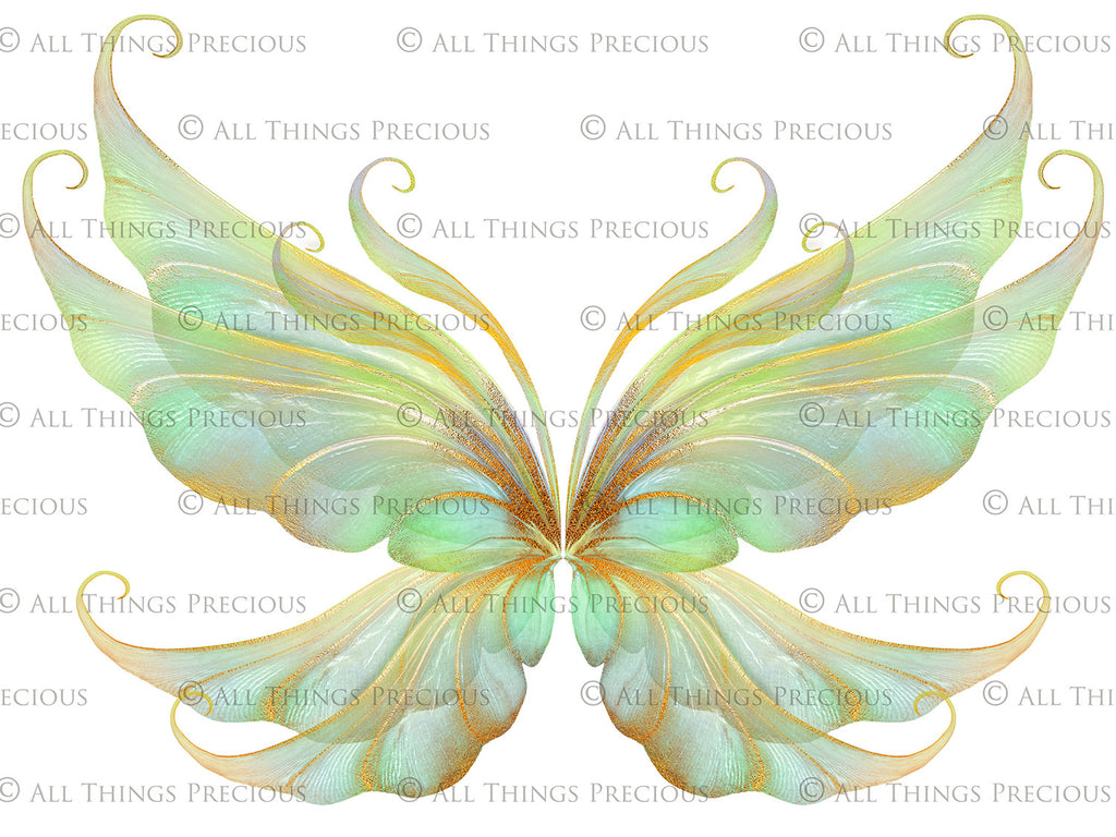 Digital Faery Wing Overlays! Fairy wings, Png overlays for photoshop. Photography editing. High resolution, 300dpi fairy wings. Overlays for photography. Digital stock and resources. Graphic design. Fairy Photos. Colourful Fairy wings. Faerie Wings.