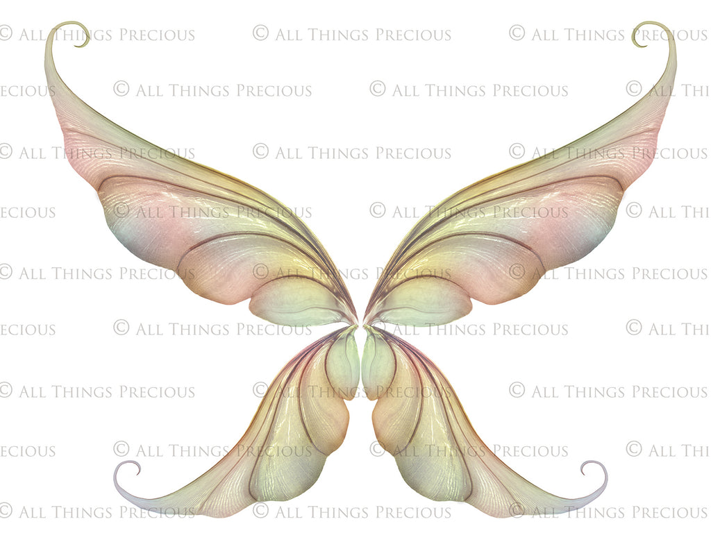 Digital Fairy Wings Overlays clipart. Png transparent see through files for photoshop. Butterfly Angel, Color, Print Photography editing. High resolution, 300dpi. Printable, Photography Graphic design assets, add on stock resources. Magical Scrapbooking design. Faery Photographer edit. Colorful Big Bundle. ATP Textures