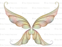 Load image into Gallery viewer, 20 Png FAIRY WING Overlays Set 36
