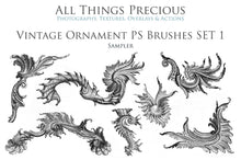 Load image into Gallery viewer, VINTAGE ORNAMENTS Set 1 - Photoshop Brushes
