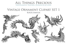 Load image into Gallery viewer, VINTAGE ORNAMENTALS - Clipart
