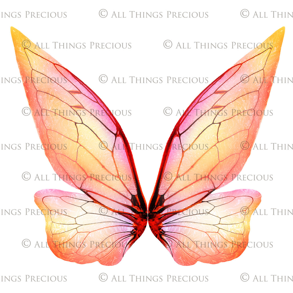 Digital Overlays for Photographers, Graphic design, scrapbooking and creatives.. Fairy Wings. High resolution, fine art digital assets for creating fantasy art.  Png overlay with transparent background. Magical Edit. Png Photo editing art assets.