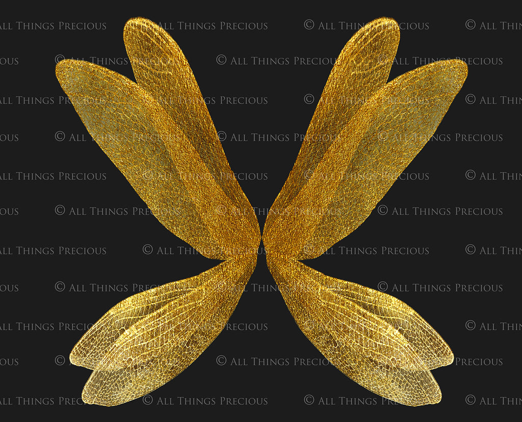 Digital Faery Wing Overlays! Fairy wings, Png overlays for photoshop. Photography editing. High resolution, 300dpi fairy wings. Overlays for photography. Digital stock and resources. Graphic design. Fairy Photos. Colourful Fairy wings. Faerie Wings.