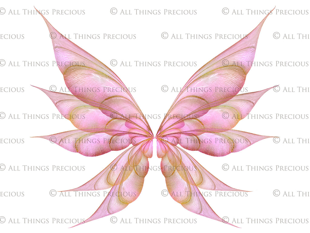 Digital Overlays for Photographers, Graphic design, scrapbooking and creatives.. Fairy Wings. High resolution, fine art digital assets for creating fantasy art.  Png overlay with transparent background. Magical Edit. Png Photo editing art assets.