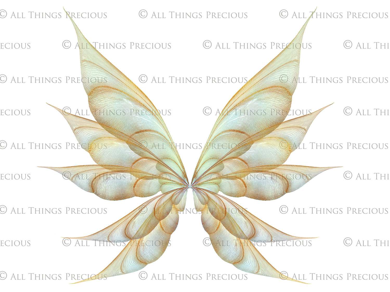 Digital Faery Wing Overlays! Fairy wings, Png overlays for photoshop. Photography editing. High resolution, 300dpi fairy wings. Overlays for photography. Digital stock and resources. Graphic design. Fairy Photos. Colourful Fairy wings. Faerie Wings.