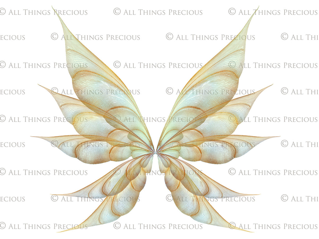 Digital Faery Wing Overlays! Fairy wings, Png overlays for photoshop. Photography editing. High resolution, 300dpi fairy wings. Overlays for photography. Digital stock and resources. Graphic design. Fairy Photos. Colourful Fairy wings. Faerie Wings.