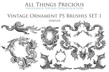 Load image into Gallery viewer, VINTAGE ORNAMENTS Set 1 - Photoshop Brushes
