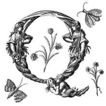 Load image into Gallery viewer, MEDIEVAL ALPHABET, Insects &amp; Florals - Clipart
