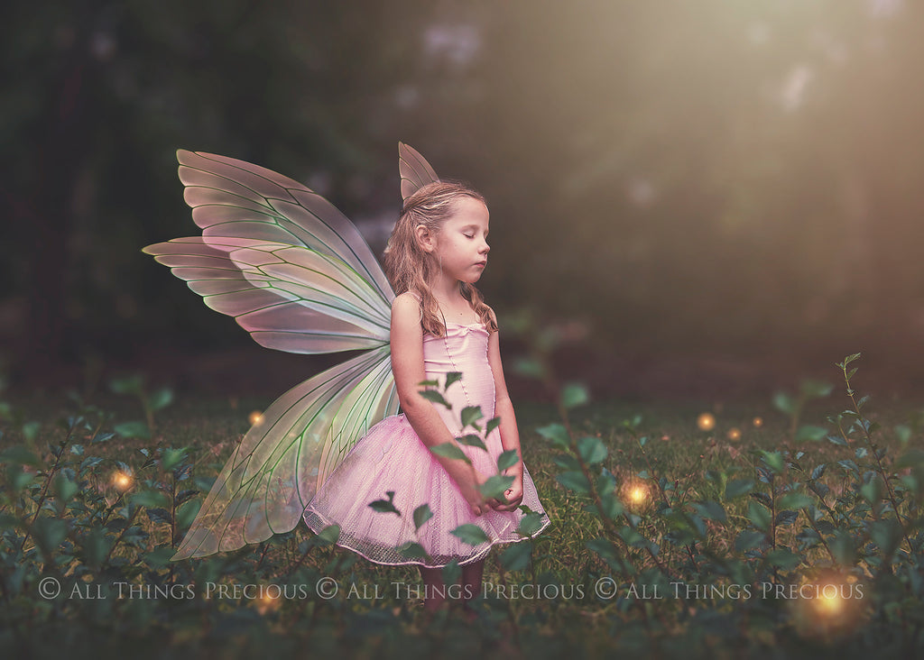 Digital Faery Wing Overlays. Png overlays for photoshop. Photography editing. High resolution, 300dpi fairy wings. Overlays for photography. Digital stock and resources. Graphic design. Fairy Photos. Colourful Fairy wings. Faerie Wings. ATP Textures. Overlays. Actions, Textures, Photo Resources, Photoshop. 