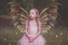 Load image into Gallery viewer, 20 Png FAIRY WING Overlays Set 9
