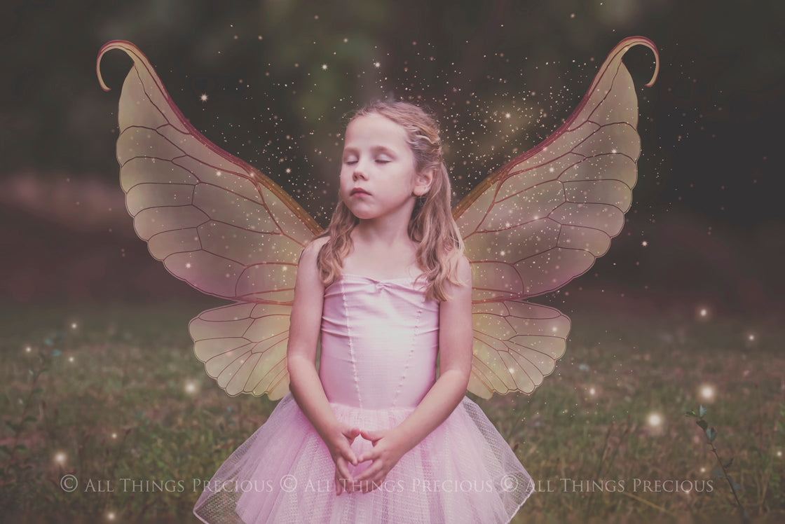 Digital Fairy Wings Overlays clipart. Png transparent see through files for photoshop. Butterfly Angel, Color, Print Photography editing. High resolution, 300dpi. Printable, Photography Graphic design assets, add on stock resources. Magical Scrapbooking design. Faery Photographer edit. Colorful Big Bundle. ATP Textures