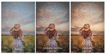 Load image into Gallery viewer, ADELAIDE Mini Set Photoshop Actions
