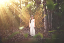 Load image into Gallery viewer, FAIRY WING &amp; OVERLAYS BUNDLE - GOLDEN - Set 8

