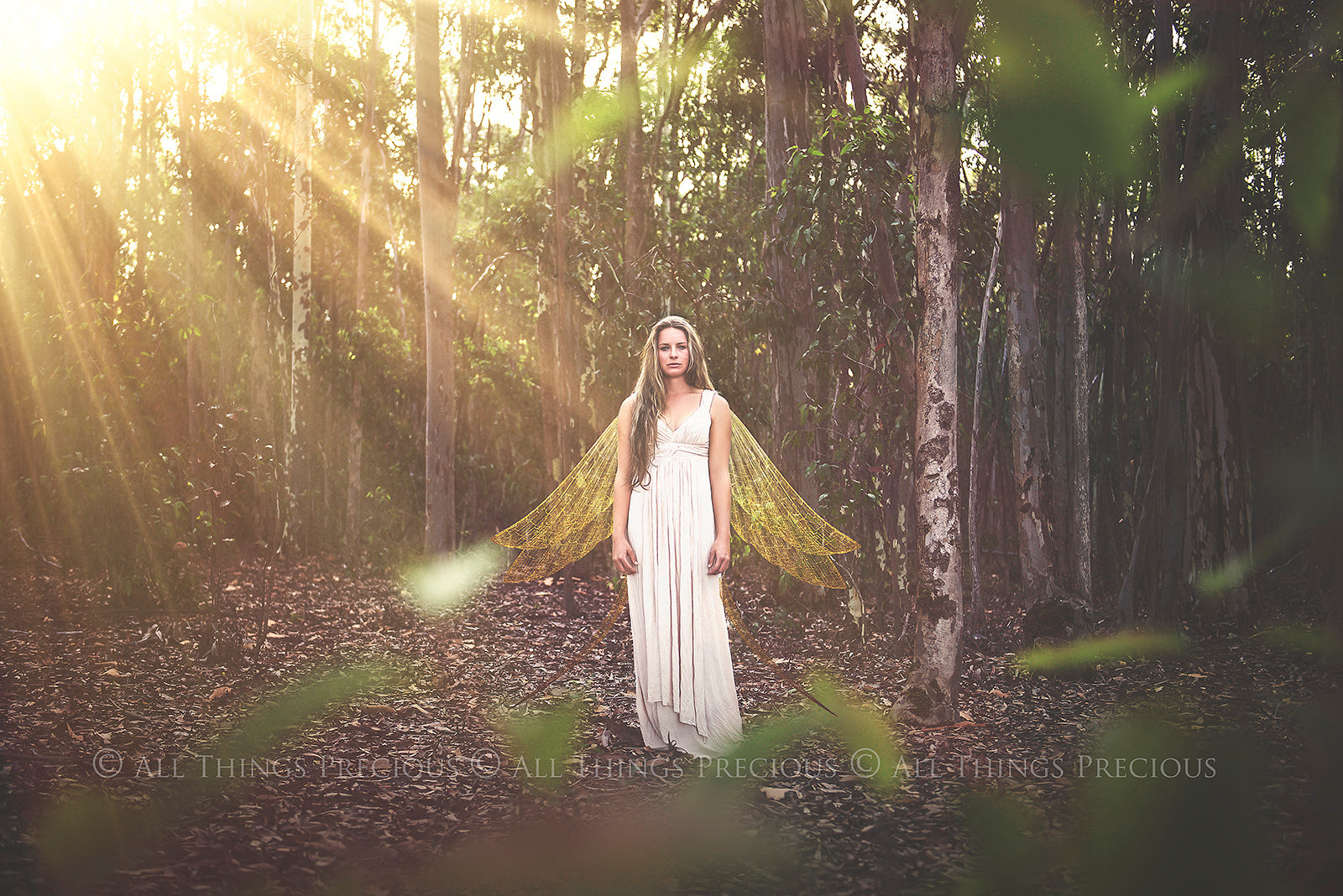 Digital Faery Wing Overlays! Fairy wings, Png overlays for photoshop. Photography editing. High resolution, 300dpi fairy wings. Overlays for photography. Digital stock and resources. Graphic design. Fairy Photos. Colourful Fairy wings. Faerie Wings.