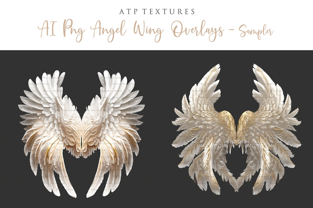 AI ANGEL WING Digital Overlays