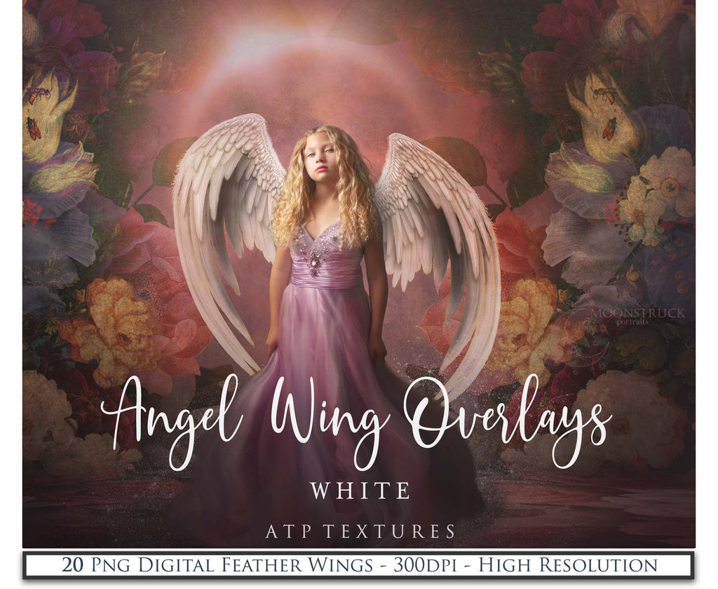 Png clipart, Angel Wings, Digital Overlays, Fine Art, Photography, Photoshop edits, Digital Art, Angel wing overlays, High resolution, Angel Clipart, Wing Clipart by ATP textures.