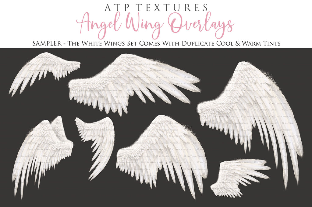 Png clipart, Angel Wings, Digital Overlays, Fine Art, Photography, Photoshop edits, Digital Art, Angel wing overlays, High resolution, Angel Clipart, Wing Clipart by ATP textures.