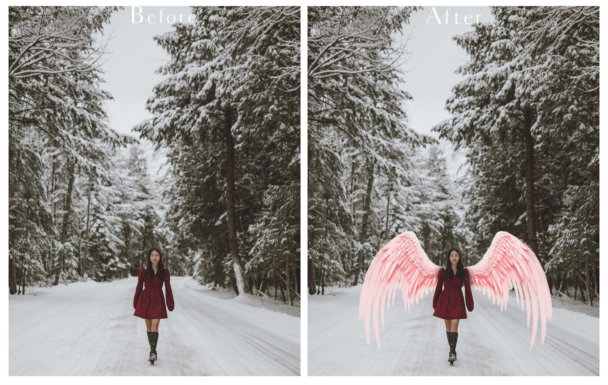 Png clipart, Angel Wings, Digital Overlays, Fine Art, Photography, Photoshop edits, Digital Art, Angel wing overlays, High resolution, Angel Clipart, Wing Clipart by ATP textures.