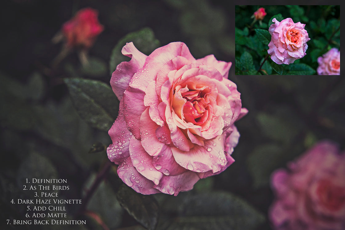 Photoshop Actions for Photography Edits. PS atn files are compatible with all versions of PS CS6. Photoshop Actions for professional photographers, photo edits and Instagram influencers. Warm, Rich, Light, Matte. For Wedding, Newborn, Studio Photography. By ATP Textures