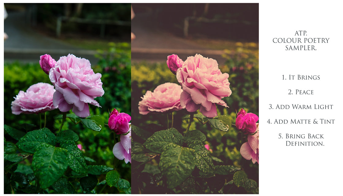 Photoshop Actions for Photography Edits. PS atn files are compatible with all versions of PS CS6. Photoshop Actions for professional photographers, photo edits and Instagram influencers. Warm, Rich, Light, Matte. For Wedding, Newborn, Studio Photography. By ATP Textures