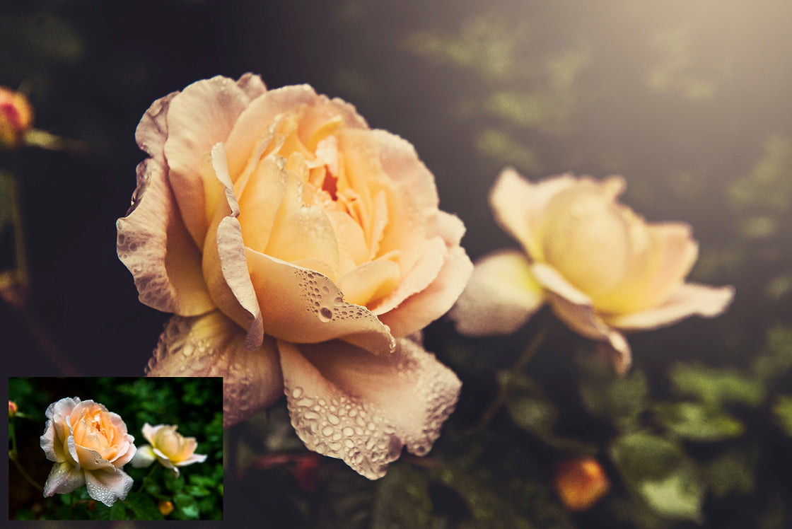 Photoshop Actions for Photography Edits. PS atn files are compatible with all versions of PS CS6. Photoshop Actions for professional photographers, photo edits and Instagram influencers. Warm, Rich, Light, Matte. For Wedding, Newborn, Studio Photography. By ATP Textures