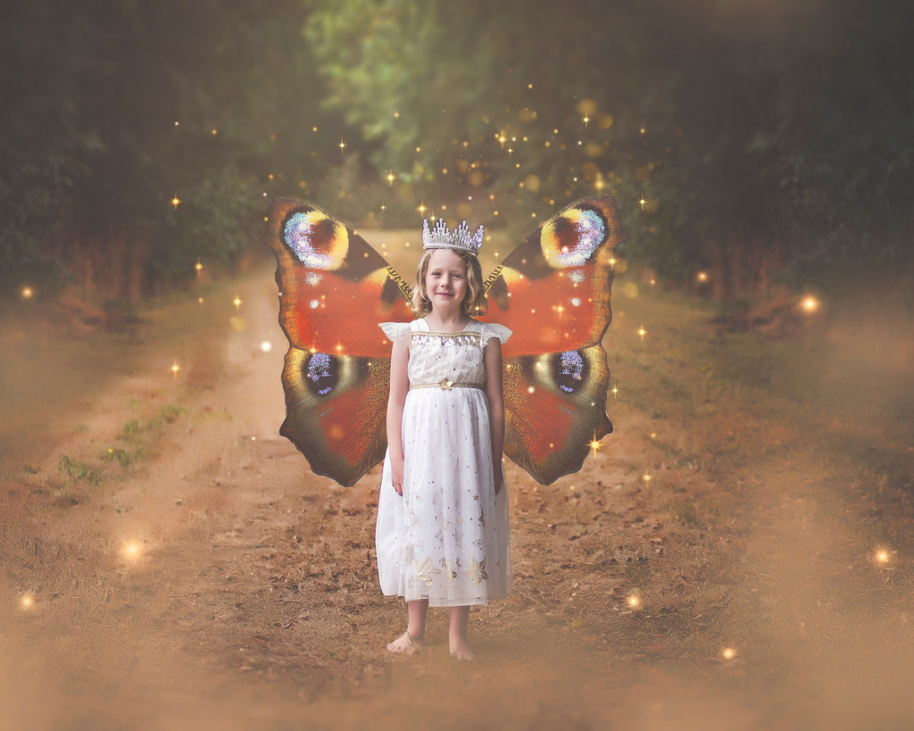 Butterfly fairy wings, Png overlays for photoshop. Photography editing. High resolution, 300dpi. Overlay for photography. Digital stock and resources. Graphic design. Wings for Photos. Colourful Faerie Wings.