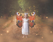 Load image into Gallery viewer, Butterfly fairy wings, Png overlays for photoshop. Photography editing. High resolution, 300dpi. Overlay for photography. Digital stock and resources. Graphic design. Wings for Photos. Colourful Faerie Wings.
