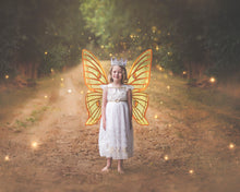 Load image into Gallery viewer, Butterfly fairy wings, Png overlays for photoshop. Photography editing. High resolution, 300dpi. Overlay for photography. Digital stock and resources. Graphic design. Wings for Photos. Colourful Faerie Wings.
