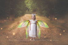 Load image into Gallery viewer, 20 Png FAIRY WING Overlays Set 30
