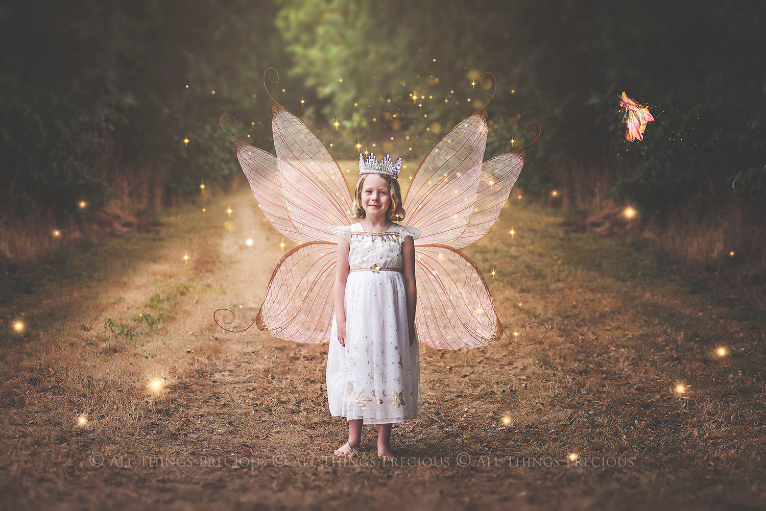 Digital Faery Wing Overlays. Png overlays for photoshop. Photography editing. High resolution, 300dpi fairy wings. Overlays for photography. Digital stock and resources. Graphic design. Fairy Photos. Colourful Fairy wings. Faerie Wings. ATP Textures. Overlays. Actions, Textures, Photo Resources, Photoshop. 