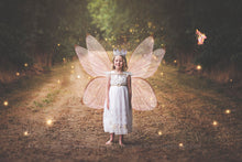 Load image into Gallery viewer, Digital Faery Wing Overlays. Png overlays for photoshop. Photography editing. High resolution, 300dpi fairy wings. Overlays for photography. Digital stock and resources. Graphic design. Fairy Photos. Colourful Fairy wings. Faerie Wings. ATP Textures. Overlays. Actions, Textures, Photo Resources, Photoshop. 

