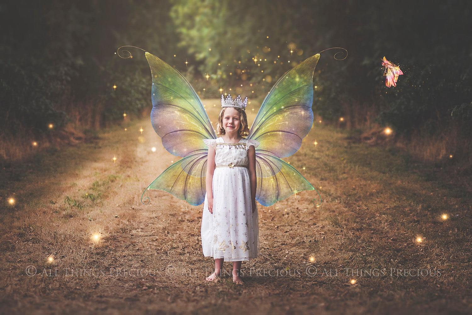 Digital Faery Wing Overlays. Png overlays for photoshop. Photography editing. High resolution, 300dpi fairy wings. Overlays for photography. Digital stock and resources. Graphic design. Fairy Photos. Colourful Fairy wings. Faerie Wings. ATP Textures. Overlays. Actions, Textures, Photo Resources, Photoshop. 