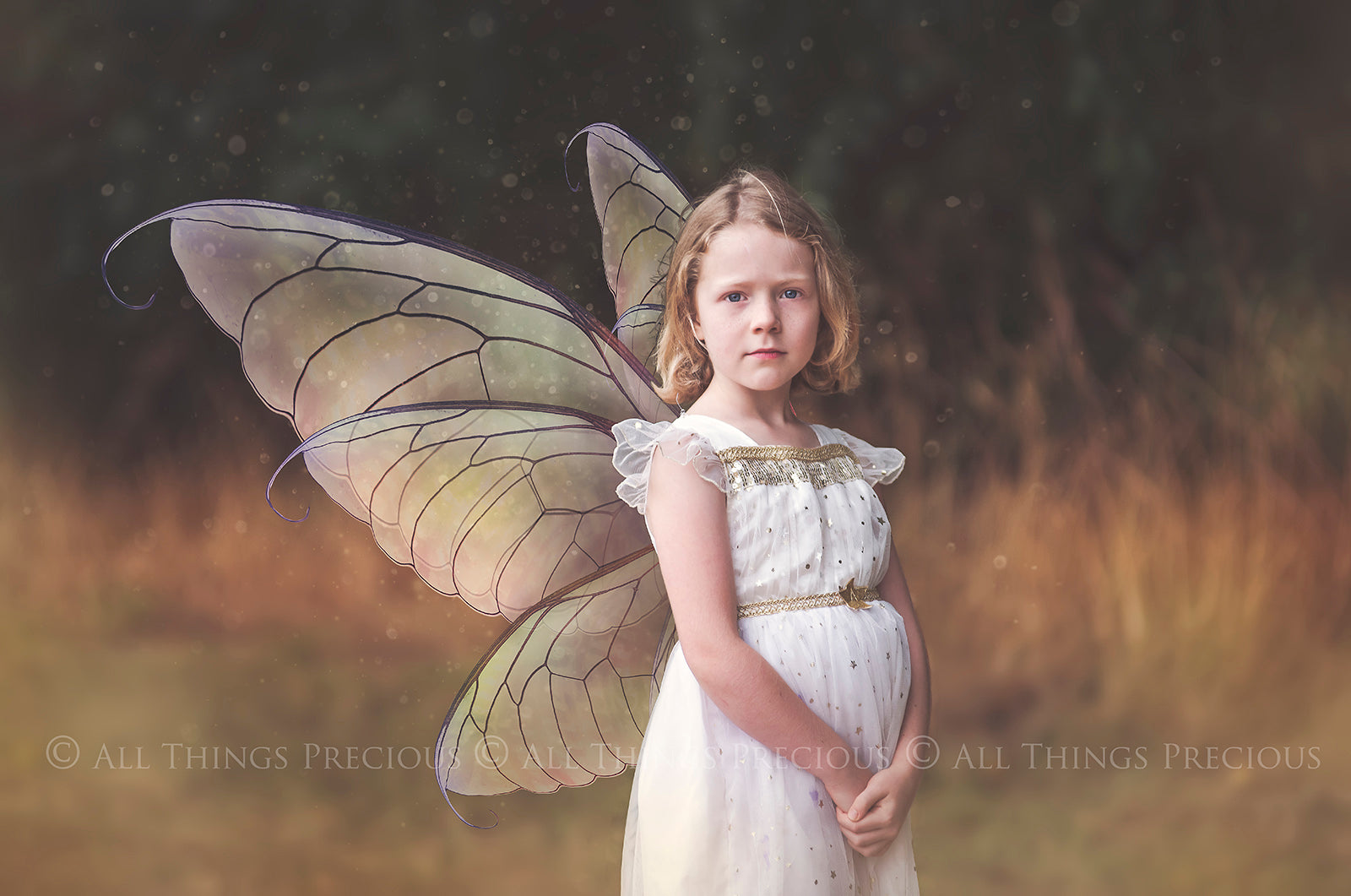 Digital Faery Wing Overlays. Png overlays for photoshop. Photography editing. High resolution, 300dpi fairy wings. Overlays for photography. Digital stock and resources. Graphic design. Fairy Photos. Colourful Fairy wings. Faerie Wings. ATP Textures. Overlays. Actions, Textures, Photo Resources, Photoshop. 