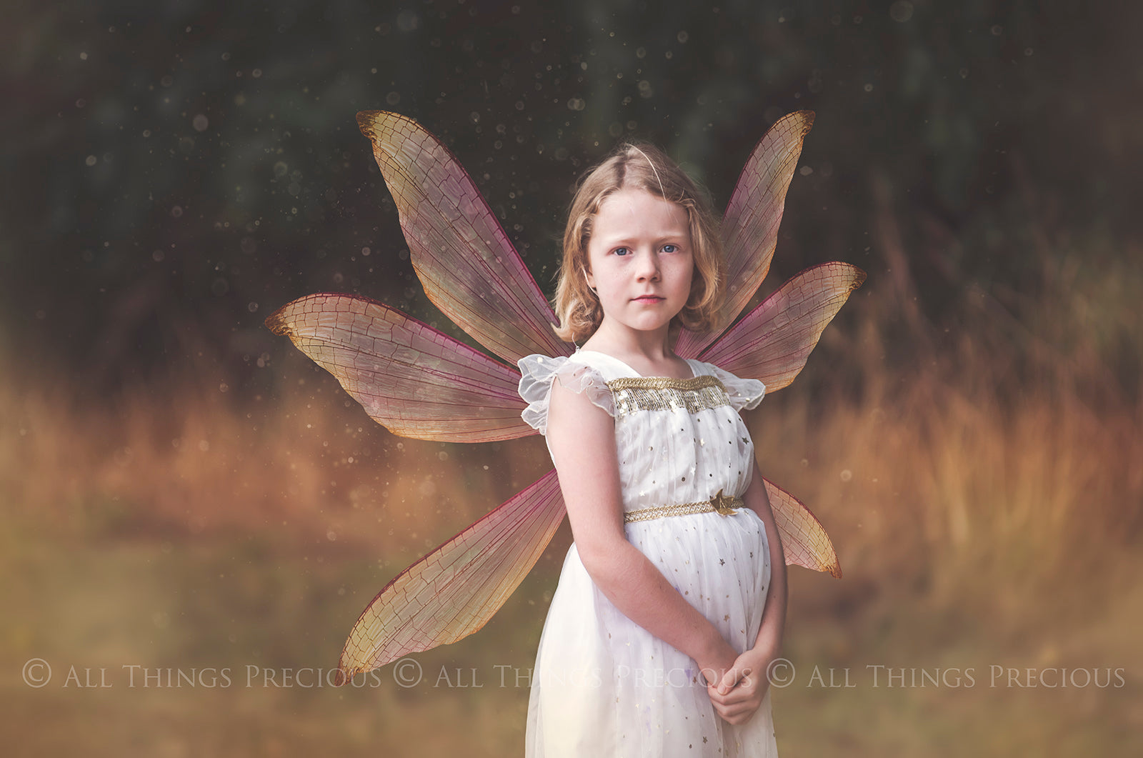 Digital Faery Wing Overlays. Png overlays for photoshop. Photography editing. High resolution, 300dpi fairy wings. Overlays for photography. Digital stock and resources. Graphic design. Fairy Photos. Colourful Fairy wings. Faerie Wings. ATP Textures. Overlays. Actions, Textures, Photo Resources, Photoshop. 