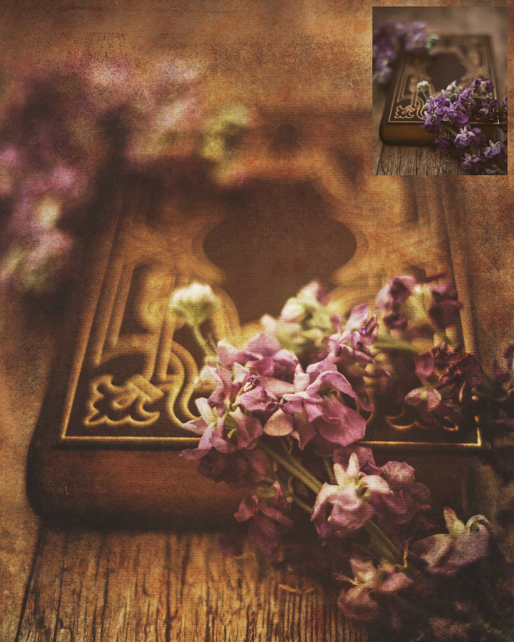 Fine Art Textures. For photography or print as backdrops. High resolution download files. Grunge, Warm, Light, Digital Add Ons. Canvas, Dark, Painterly, Color design. Jpeg overlay. photoshop editing graphic assets. by ATP textures.