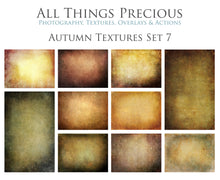 Load image into Gallery viewer, 10 Fine Art TEXTURES - AUTUMN Set 7
