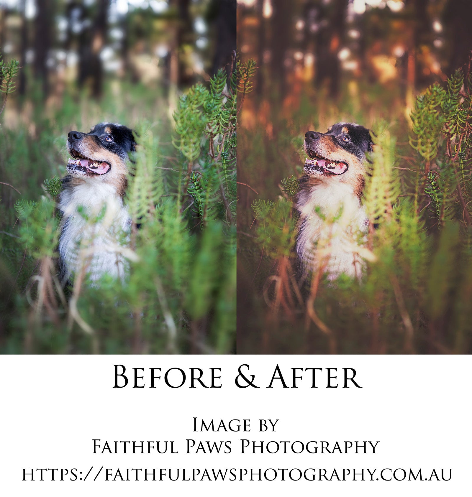 Photoshop Actions for Photography Edits. PS atn files are compatible with all versions of PS CS6. Photoshop Actions for professional photographers, photo edits and Instagram influencers. Warm, Rich, Light, Matte. For Wedding, Newborn, Studio Photography. By ATP Textures