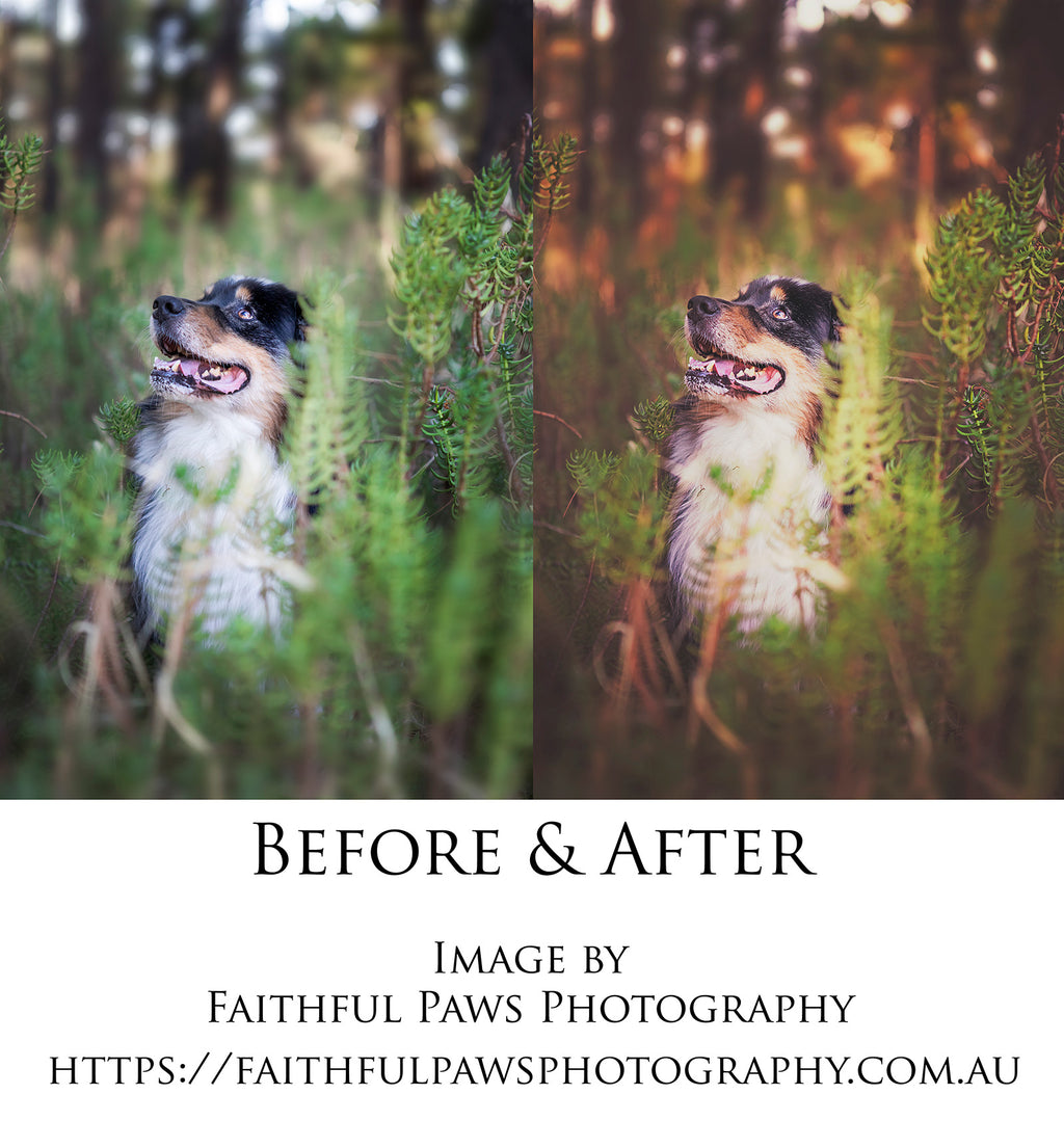 Photoshop Actions for Photography Edits. PS atn files are compatible with all versions of PS CS6. Photoshop Actions for professional photographers, photo edits and Instagram influencers. Warm, Rich, Light, Matte. For Wedding, Newborn, Studio Photography. By ATP Textures